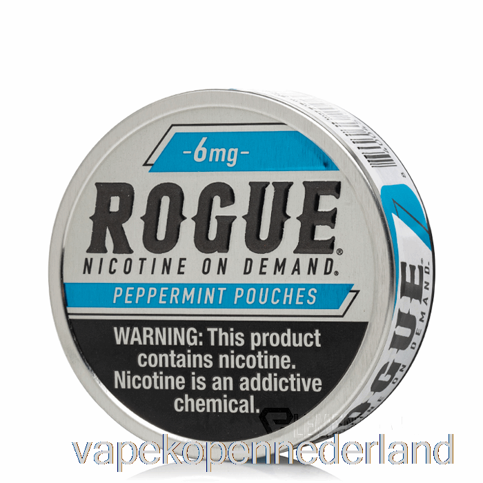 Elektronische Sigarettenvape Frauduleuze Nicotinezakjes - Pepermunt 6 Mg